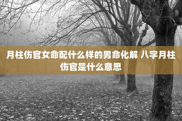 月柱伤官女命配什么样的男命化解 八字月柱伤官是什么意思