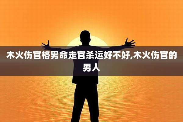 木火伤官格男命走官杀运好不好,木火伤官的男人