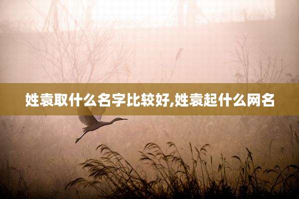 姓袁取什么名字比较好,姓袁起什么网名