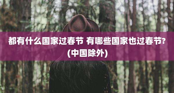 都有什么国家过春节 有哪些国家也过春节?(中国除外)