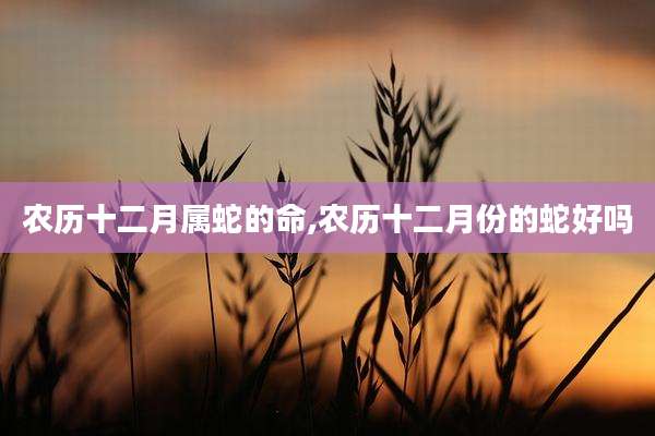 农历十二月属蛇的命,农历十二月份的蛇好吗
