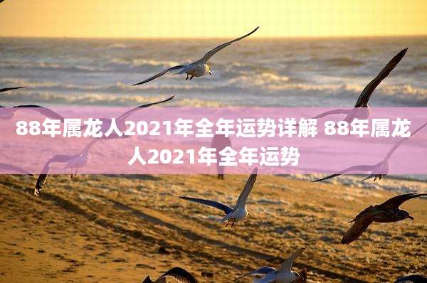 88年属龙人2021年全年运势详解 88年属龙人2021年全年运势