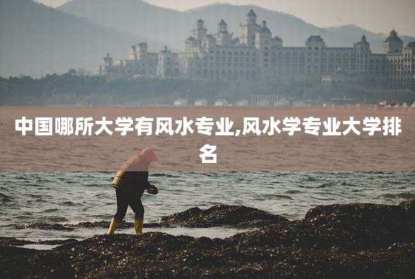 中国哪所大学有风水专业,风水学专业大学排名