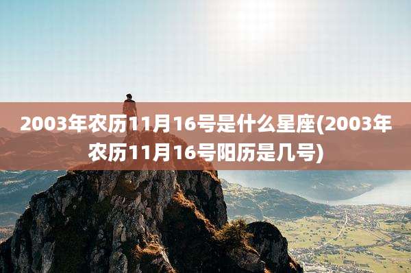 2003年农历11月16号是什么星座(2003年农历11月16号阳历是几号)