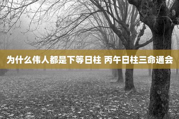 为什么伟人都是下等日柱 丙午日柱三命通会