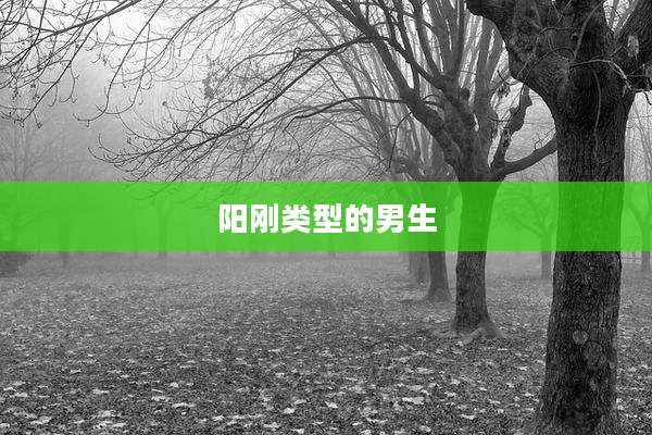 阳刚类型的男生