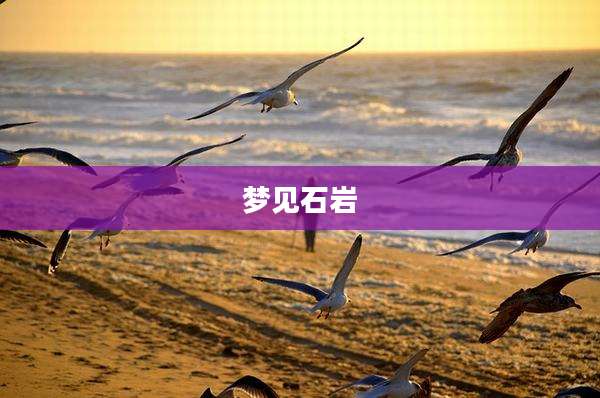 梦见石岩
