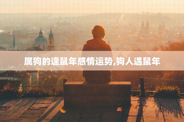 属狗的逢鼠年感情运势,狗人遇鼠年