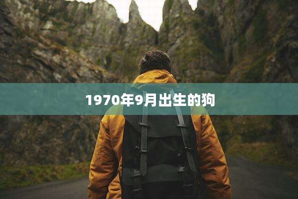 1970年9月出生的狗