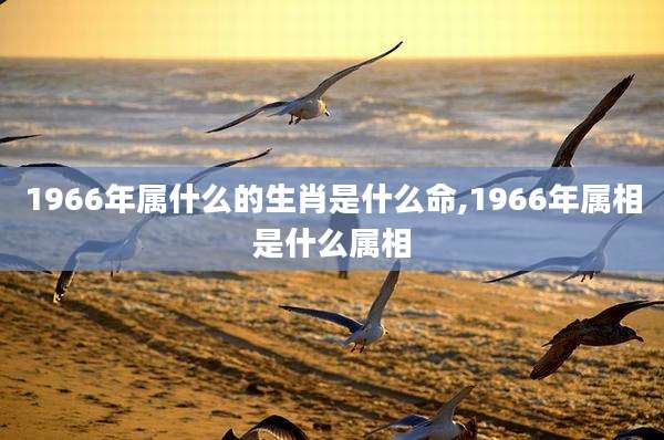 1966年属什么的生肖是什么命,1966年属相是什么属相