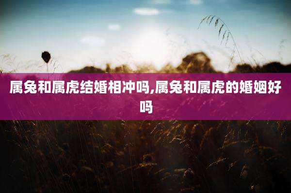 属兔和属虎结婚相冲吗,属兔和属虎的婚姻好吗