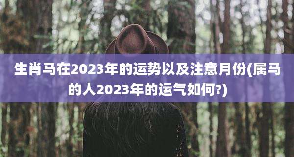 生肖马在2023年的运势以及注意月份(属马的人2023年的运气如何?)