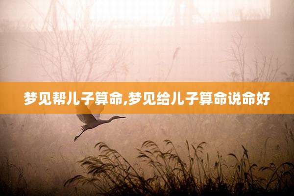 梦见帮儿子算命,梦见给儿子算命说命好