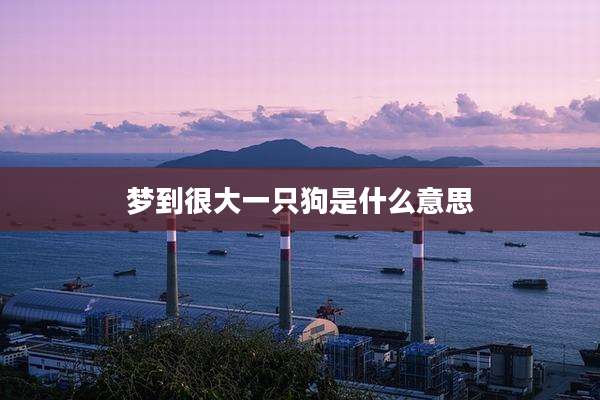 梦到很大一只狗是什么意思