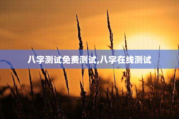 八字测试免费测试,八字在线测试