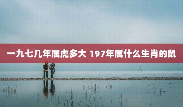 一九七几年属虎多大 197年属什么生肖的鼠
