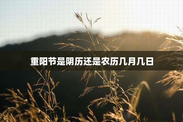 重阳节是阴历还是农历几月几日
