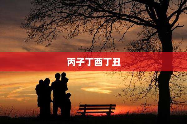 丙子丁酉丁丑
