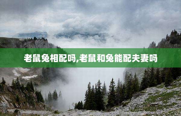 老鼠兔相配吗,老鼠和兔能配夫妻吗