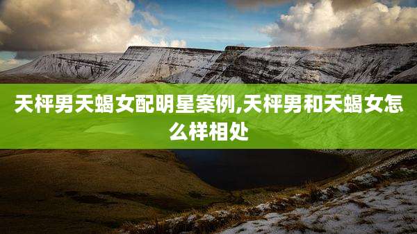 天枰男天蝎女配明星案例,天枰男和天蝎女怎么样相处