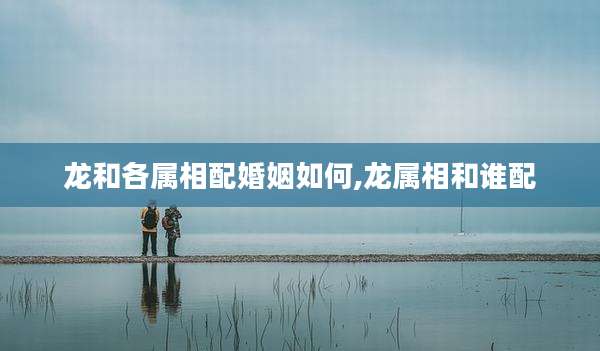 龙和各属相配婚姻如何,龙属相和谁配