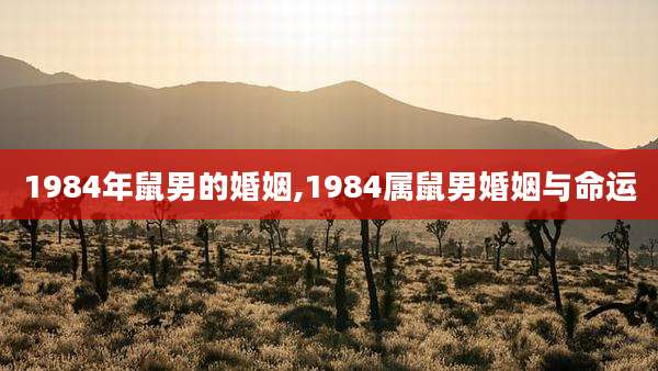 1984年鼠男的婚姻,1984属鼠男婚姻与命运