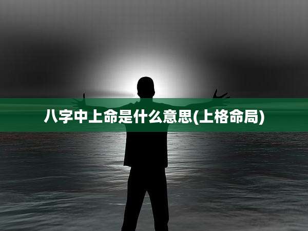 八字中上命是什么意思(上格命局)