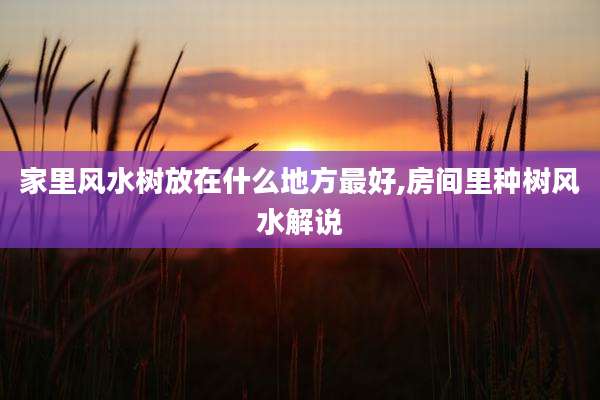 家里风水树放在什么地方最好,房间里种树风水解说
