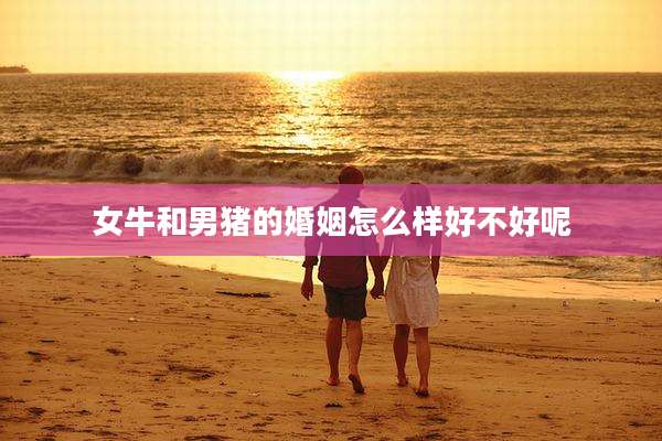 女牛和男猪的婚姻怎么样好不好呢