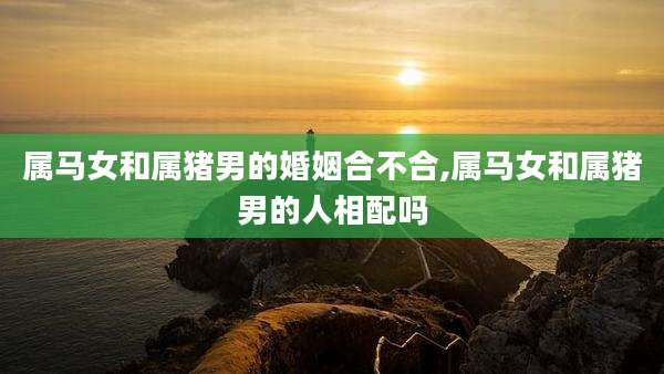 属马女和属猪男的婚姻合不合,属马女和属猪男的人相配吗