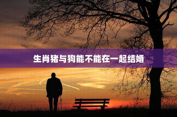 生肖猪与狗能不能在一起结婚