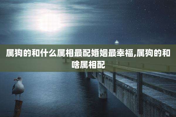 属狗的和什么属相最配婚姻最幸福,属狗的和啥属相配