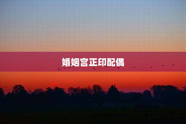 婚姻宫正印配偶