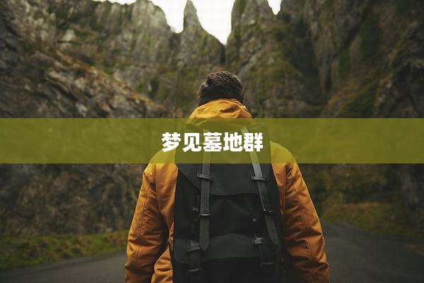 梦见墓地群