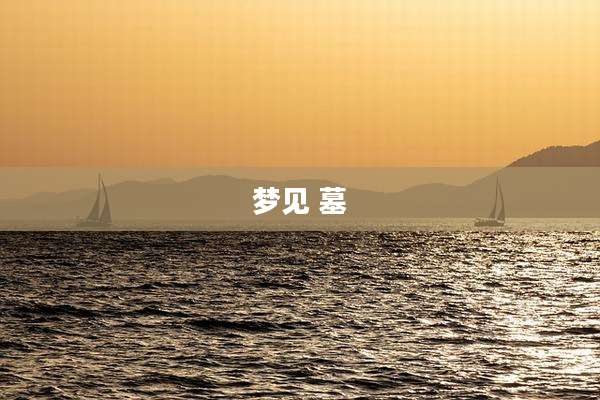 梦见 墓