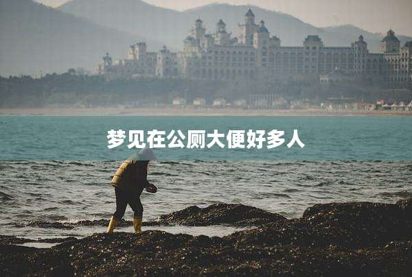 梦见在公厕大便好多人