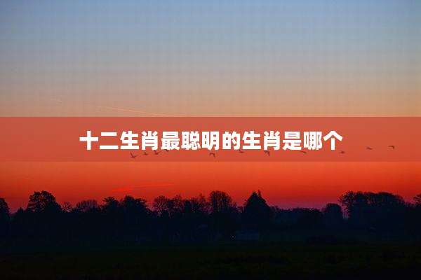 十二生肖最聪明的生肖是哪个