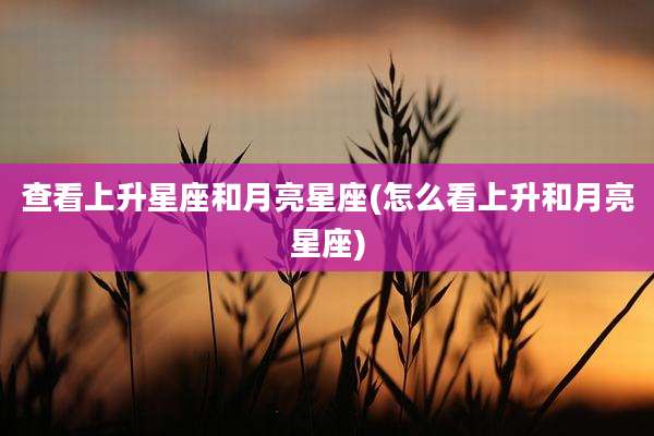 查看上升星座和月亮星座(怎么看上升和月亮星座)