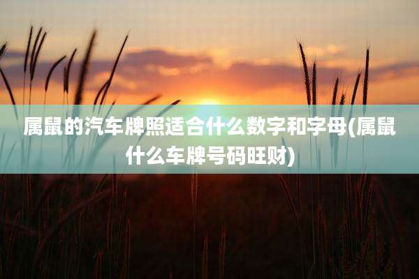 属鼠的汽车牌照适合什么数字和字母(属鼠什么车牌号码旺财)