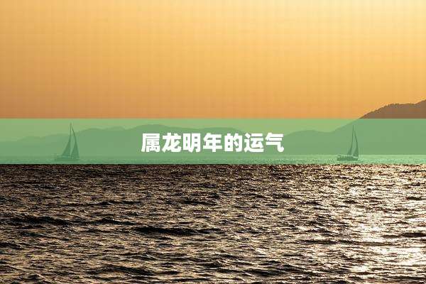 属龙明年的运气