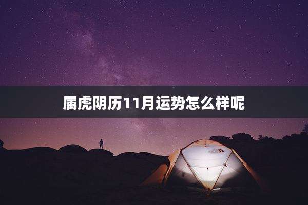 属虎阴历11月运势怎么样呢