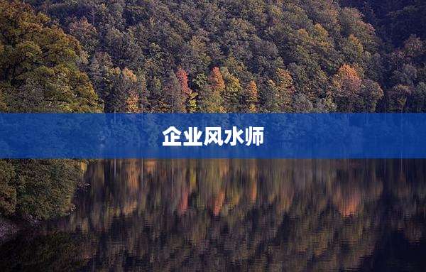 企业风水师