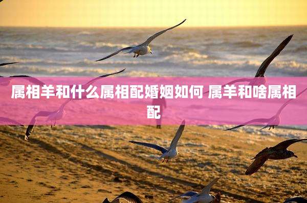 属相羊和什么属相配婚姻如何 属羊和啥属相配
