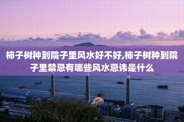 柿子树种到院子里风水好不好,柿子树种到院子里禁忌有哪些风水忌讳是什么