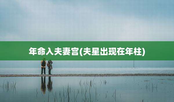 年命入夫妻宫(夫星出现在年柱)