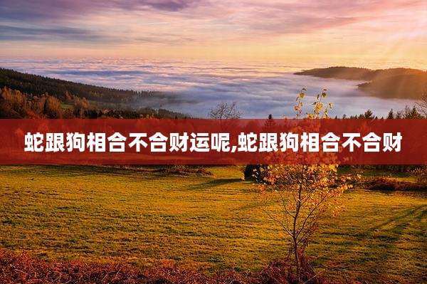 蛇跟狗相合不合财运呢,蛇跟狗相合不合财