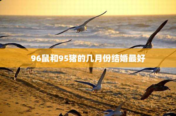 96鼠和95猪的几月份结婚最好