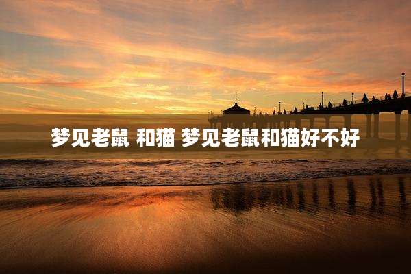 梦见老鼠 和猫 梦见老鼠和猫好不好