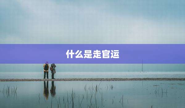 什么是走官运