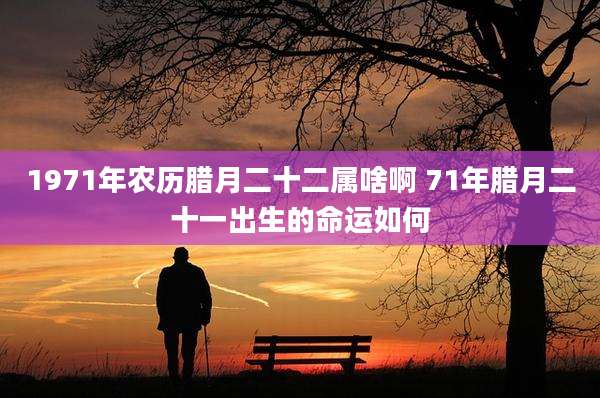 1971年农历腊月二十二属啥啊 71年腊月二十一出生的命运如何